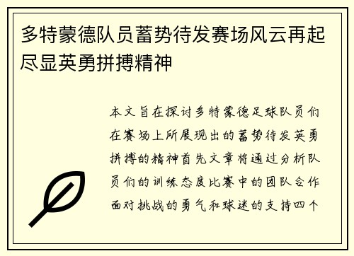 多特蒙德队员蓄势待发赛场风云再起尽显英勇拼搏精神