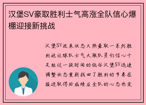 汉堡SV豪取胜利士气高涨全队信心爆棚迎接新挑战