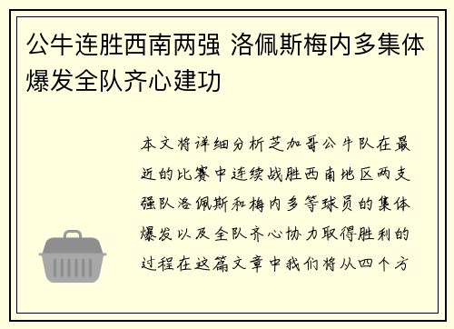 公牛连胜西南两强 洛佩斯梅内多集体爆发全队齐心建功