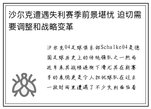 沙尔克遭遇失利赛季前景堪忧 迫切需要调整和战略变革