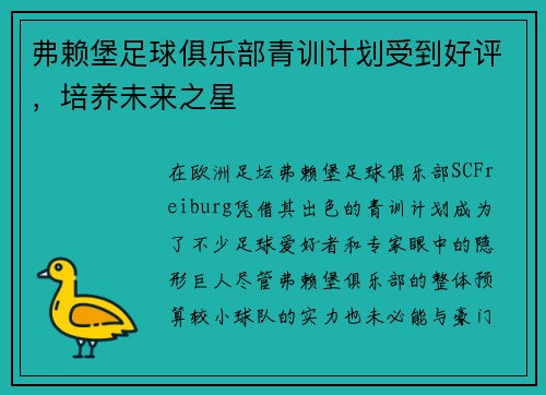 弗赖堡足球俱乐部青训计划受到好评,培养未来之星